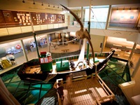 NAVIGO-Museum